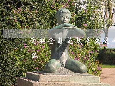 逾期全额还款多久更新(逾期要求还全款合理么)