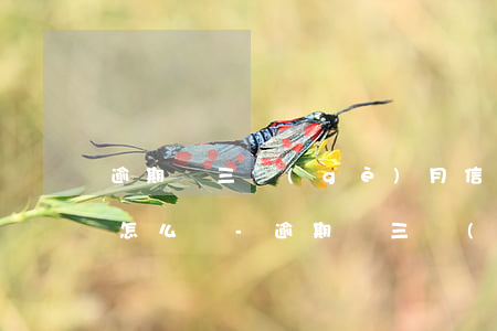 逾期兩三個(gè)月信用卡會(huì)怎么樣-逾期兩三個(gè)月信用卡會(huì)怎么樣嗎
