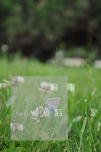逾期兩個(gè)多月協(xié)商還款后還是沒(méi)還-逾期了兩個(gè)月