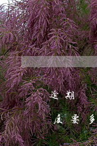 逾期兩個(gè)月信用卡恢復(fù)額度要多久-逾期兩個(gè)月信用卡恢復(fù)額度要多久才能恢復(fù)