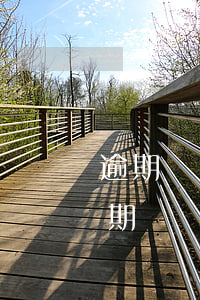 逾期兩個(gè)月怎樣協(xié)商(逾期兩個(gè)月影響大嗎)