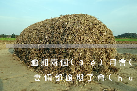 逾期兩個(gè)月會(huì)起訴嗎（夫妻倆都逾期了會(huì)起訴嗎）