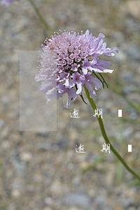逾期兩個(gè)月還款被凍結(jié)(逾期還清兩年后能貸款嗎)