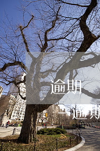 逾期兩個(gè)月還的錢是本金還是利息-逾期兩個(gè)月還的錢是本金還是利息呢