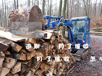 逾期兩個月了催收電話怎么少了呢-逾期兩個月了催收電話怎么少了呢怎么回事