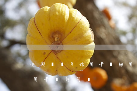 逾期兩個月信用卡還能用嗎-逾期兩個月信用卡還能用嗎