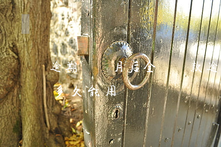 逾期兩個月后全額還款(逾期兩個月全部還了多久能用)
