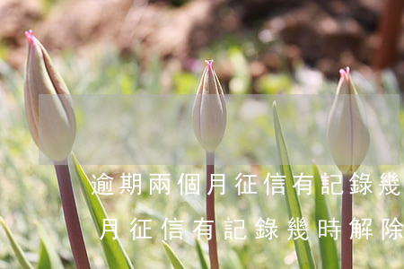 逾期兩個月征信有記錄幾時解除-逾期兩個月征信有記錄幾時解除的