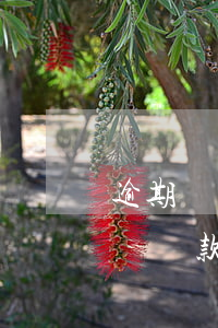逾期兩個月會影響貸款么(逾期兩天會不會影響貸款)