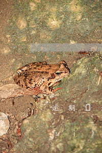 逾期兩天信用卡怎么辦-信用卡2天會(huì)有逾期記錄嗎?