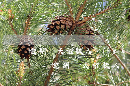 逾期兩天催款人說(shuō)要給家里電話-逾期兩天催款人說(shuō)要給家里電話怎么辦