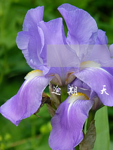 逾期兩天可以再晚兩三天還款嗎-