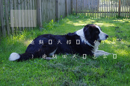 逾期兩天招聯(lián)(招聯(lián)逾期四天會怎么樣)