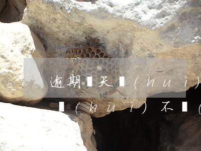 逾期兩天會(huì)影響貸款么(逾期兩天會(huì)不會(huì)影響貸款)