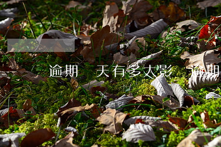 逾期兩天有多大影響(逾期兩天影響信用嗎)