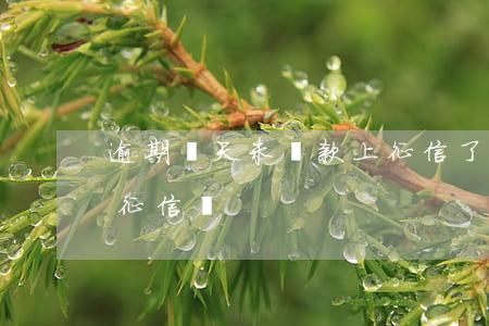 逾期兩天未還款上征信了(貸款逾期2天會上征信嗎)