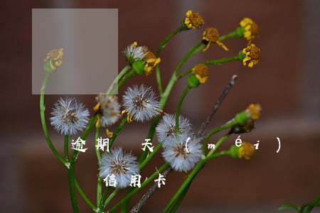 逾期兩天沒(méi)還信用卡了(逾期2天還信用卡)