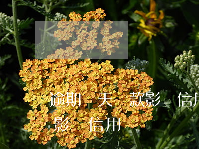 逾期兩天還款影響信用嗎(逾期一天還了款會影響信用嗎)