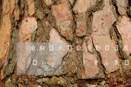 逾期兩天還款有影響嗎(有兩次還款逾期會有嚴(yán)重后果嗎)