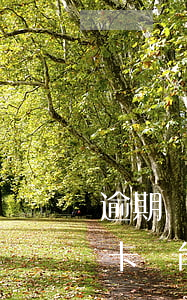 逾期兩天還能申請信用卡嗎(逾期兩個月信用卡還能用嗎)