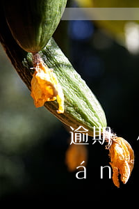 逾期兩小時然后還款了(逾期了兩個月嚴(yán)重,錢已經(jīng)還清)