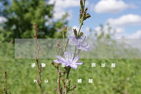 逾期兩年了還可以起訴嗎(逾期2萬多久會(huì)被起訴)