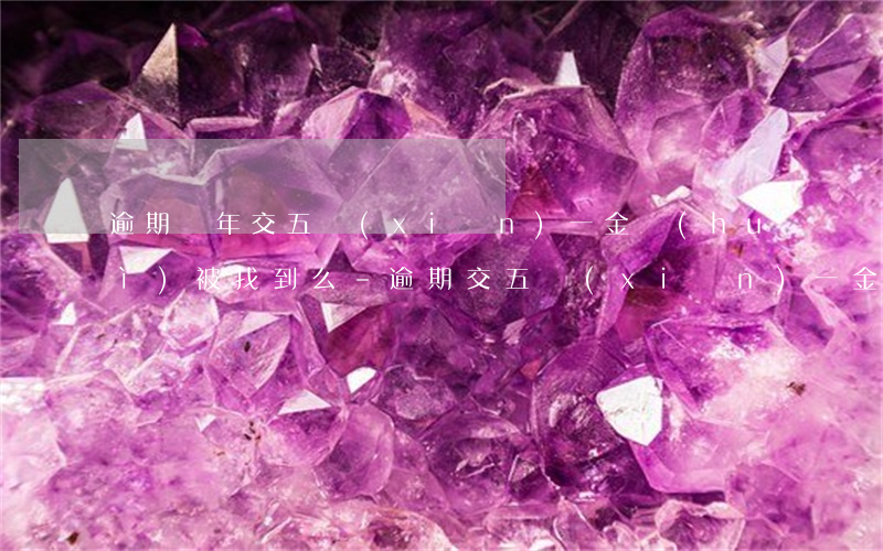 逾期兩年交五險(xiǎn)一金會(huì)被找到么-逾期交五險(xiǎn)一金影響嗎