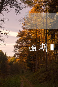逾期兩年刷新(兩年內(nèi)逾期)
