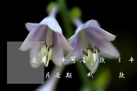 逾期兩年可以貸款嗎(5年內(nèi)有2個月逾期會影響貸款嗎)