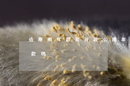 逾期兩年后能貸款么(兩年以前的逾期 影響貸款嗎)