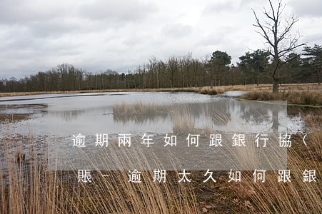 逾期兩年如何跟銀行協(xié)商停息掛賬-逾期太久如何跟銀行協(xié)商還款