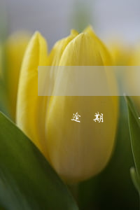 逾期兩年會被立案嗎(逾期2年了)