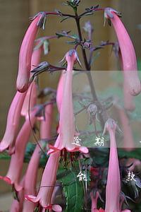 逾期兩年未還貸款小貸(還清逾期2年后能不能貸款)