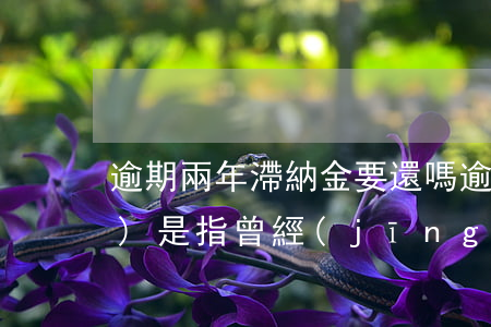 逾期兩年滯納金要還嗎(逾期兩年內(nèi)是指曾經(jīng)還是近兩年)