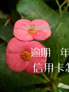 逾期兩年的信用卡怎么還利息-逾期兩年的信用卡怎么還利息呢