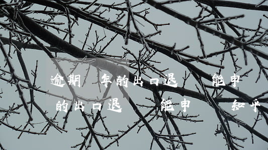 逾期兩年的出口退稅還能申報嗎-逾期兩年的出口退稅還能申報嗎知乎