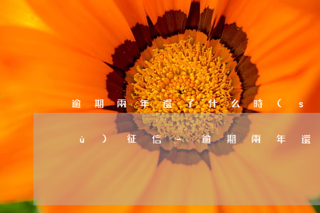逾期兩年還了什么時(shí)候恢復(fù)征信-逾期兩年還了什么時(shí)候恢復(fù)征信記錄