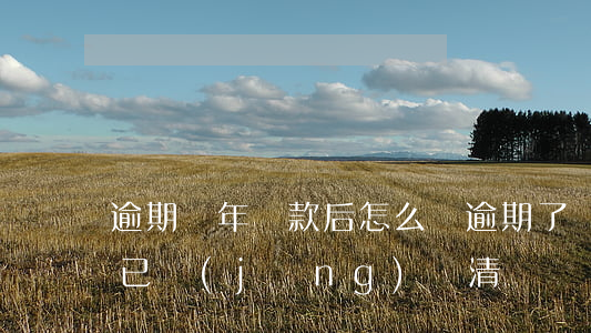 逾期兩年還款后怎么辦(逾期了兩個月嚴重,錢已經(jīng)還清)