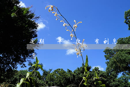 逾期兩年還款還有利息嗎(逾期兩天還款有利息嗎)