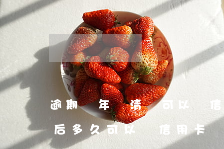 逾期兩年還清還可以辦信用卡嗎(逾期還上之后多久可以辦信用卡)