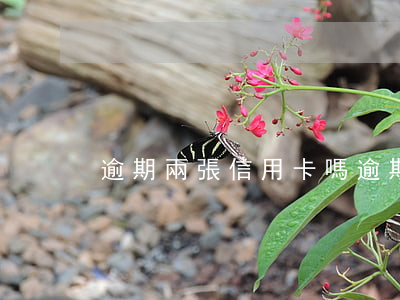 逾期兩張信用卡嗎(逾期多張信用卡)