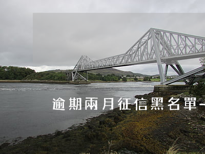 逾期兩月征信黑名單-逾期兩月征信黑名單