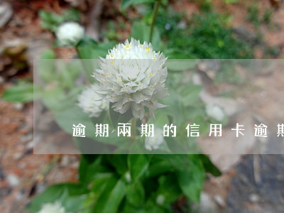 逾期兩期的信用卡(逾期兩天還信用卡)