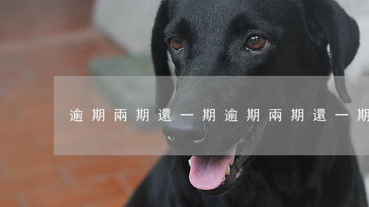 逾期兩期還一期(逾期兩期還一期)