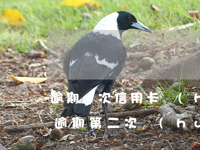 逾期兩次信用卡會(huì)怎么樣(信用卡逾期第二次會(huì)怎么樣)