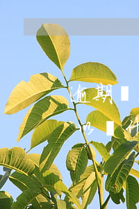 逾期兩次可以辦什么銀行信用卡(逾期兩次可以辦什么銀行信用卡)