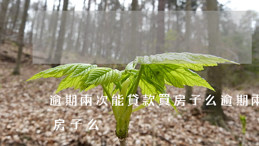 逾期兩次能貸款買房子么(逾期兩次能貸款買房子么)