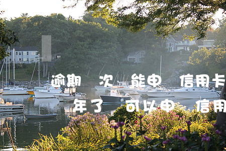 逾期兩次還能申請信用卡嗎(信用卡逾期還清兩年了還可以申請信用卡嗎)