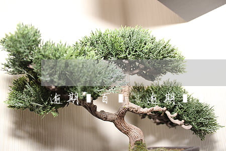 逾期兩百萬-逾期兩萬多能立案嗎