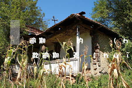 逾期兩萬塊的車貸會(huì)怎么樣(車貸款逾期兩天會(huì)怎么樣)